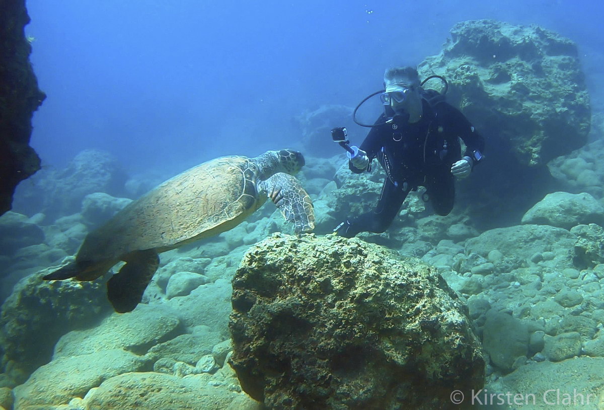 Caretta Caretta & Taucher Caretta Caretta & Taucher
