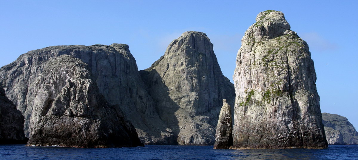 Malpelo Malpelo