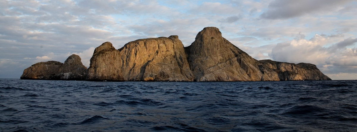 Malpelo Malpelo