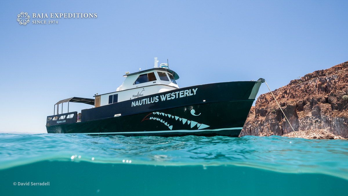 Nautilus Westerly Nautilus Westerly