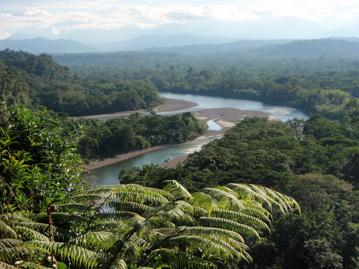 Napo River Napo River