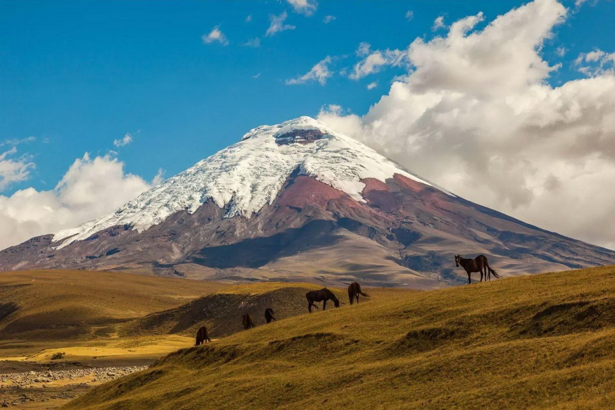 Cotopaxi-Nationalpark Cotopaxi-Nationalpark