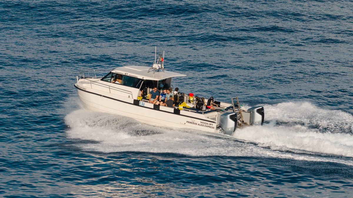 Princess Alice Express Princess Alice Express