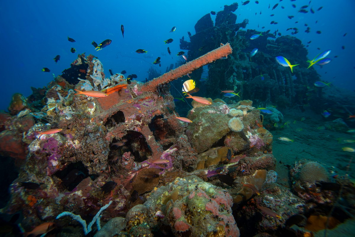 B-17 wreck © Larry Dumlao B-17 wreck