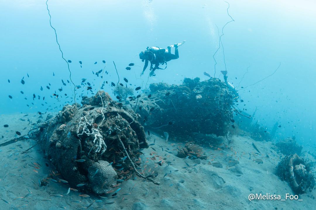 B-17 Wrack © Larry Dumlao B-17 Wrack