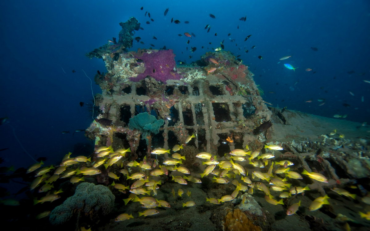 B-17 wreck © Larry Dumlao B-17 wreck