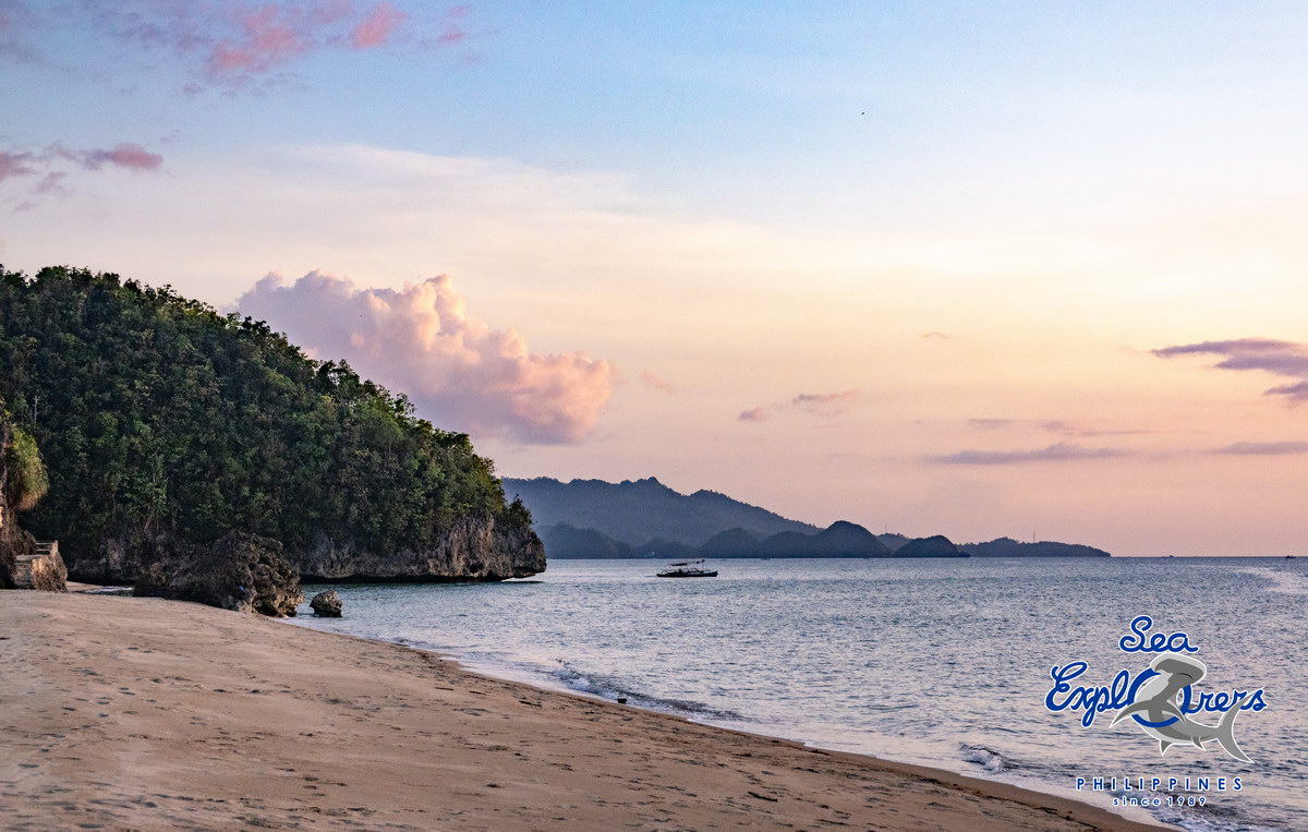 Sea Explorers Sipalay Sea Explorers Sipalay