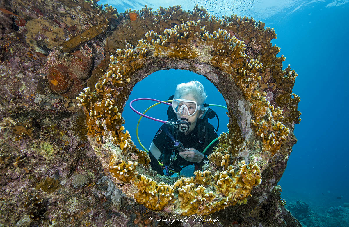 Tauchen in Sipalay Tauchen in Sipalay