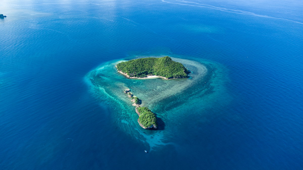 Turtle Island Turtle Island