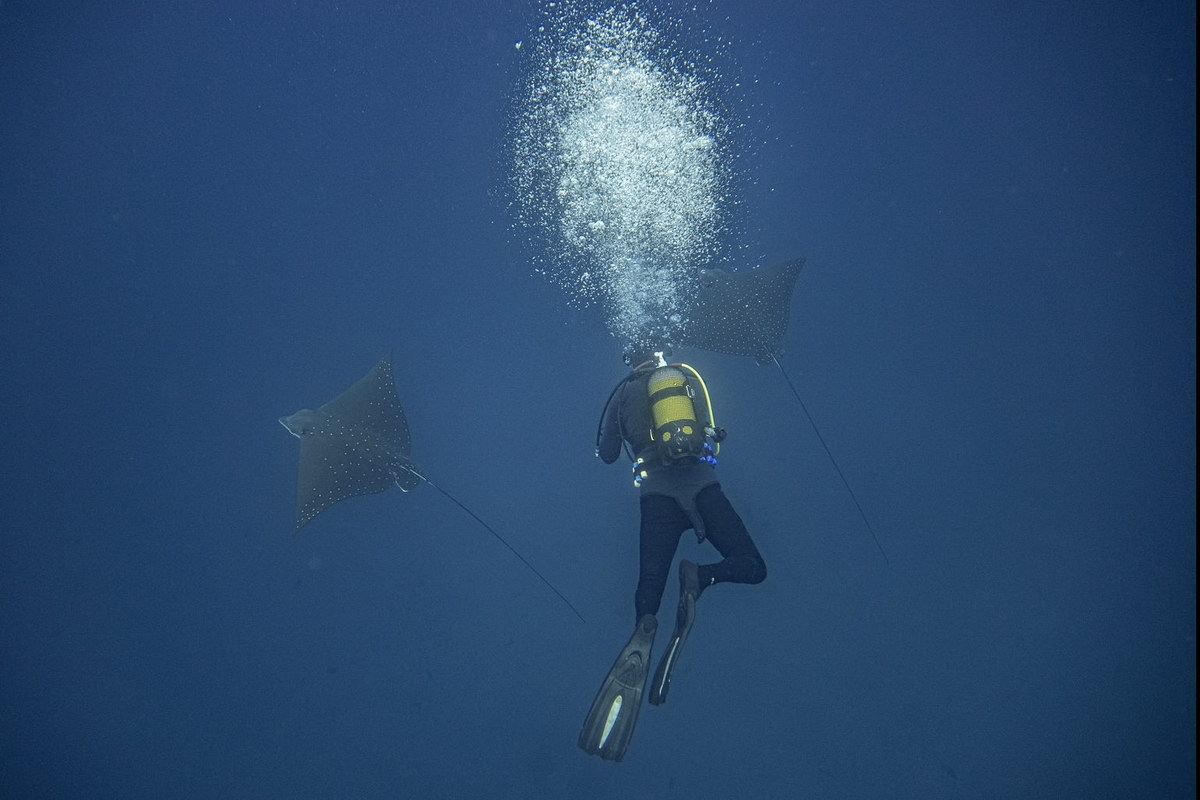 Ponta do Ouro Ponta do Ouro