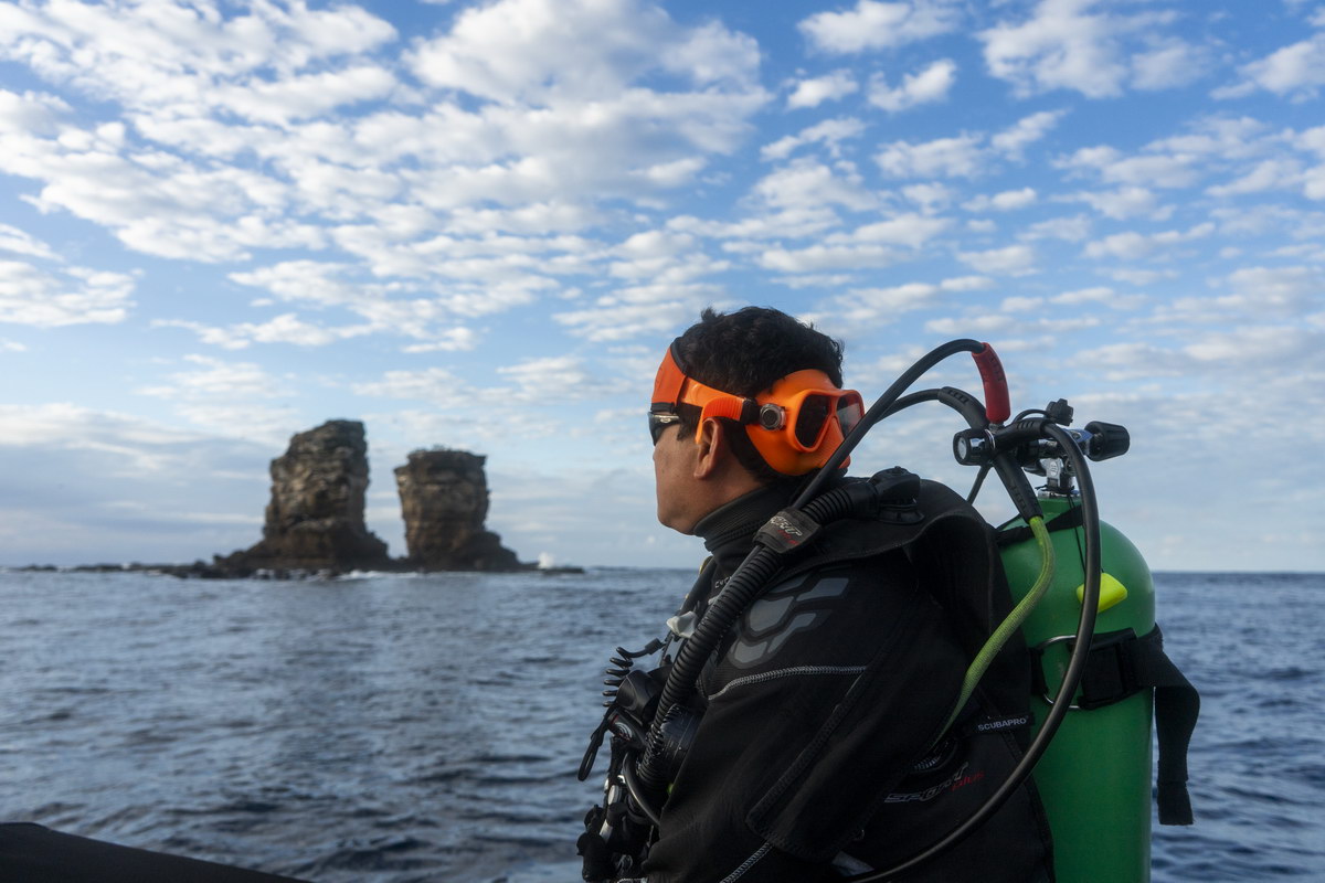 Tauchen auf den Galapagos-Inseln Tauchen auf den Galapagos-Inseln
