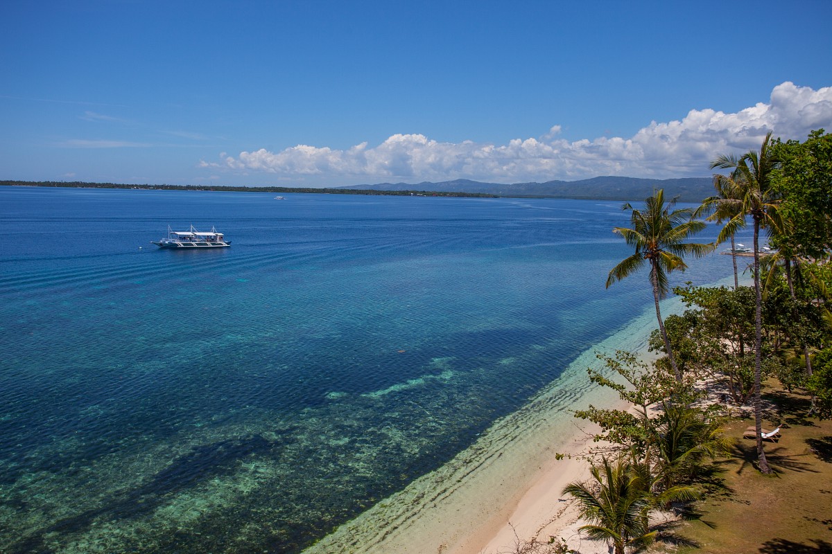 Sea Explorers Cabilao Sea Explorers Cabilao