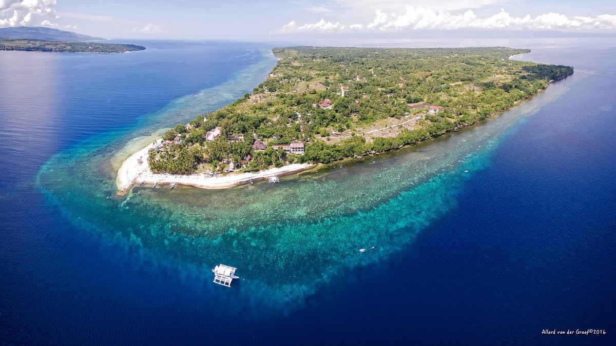 Sea Explorers Cabilao Sea Explorers Cabilao