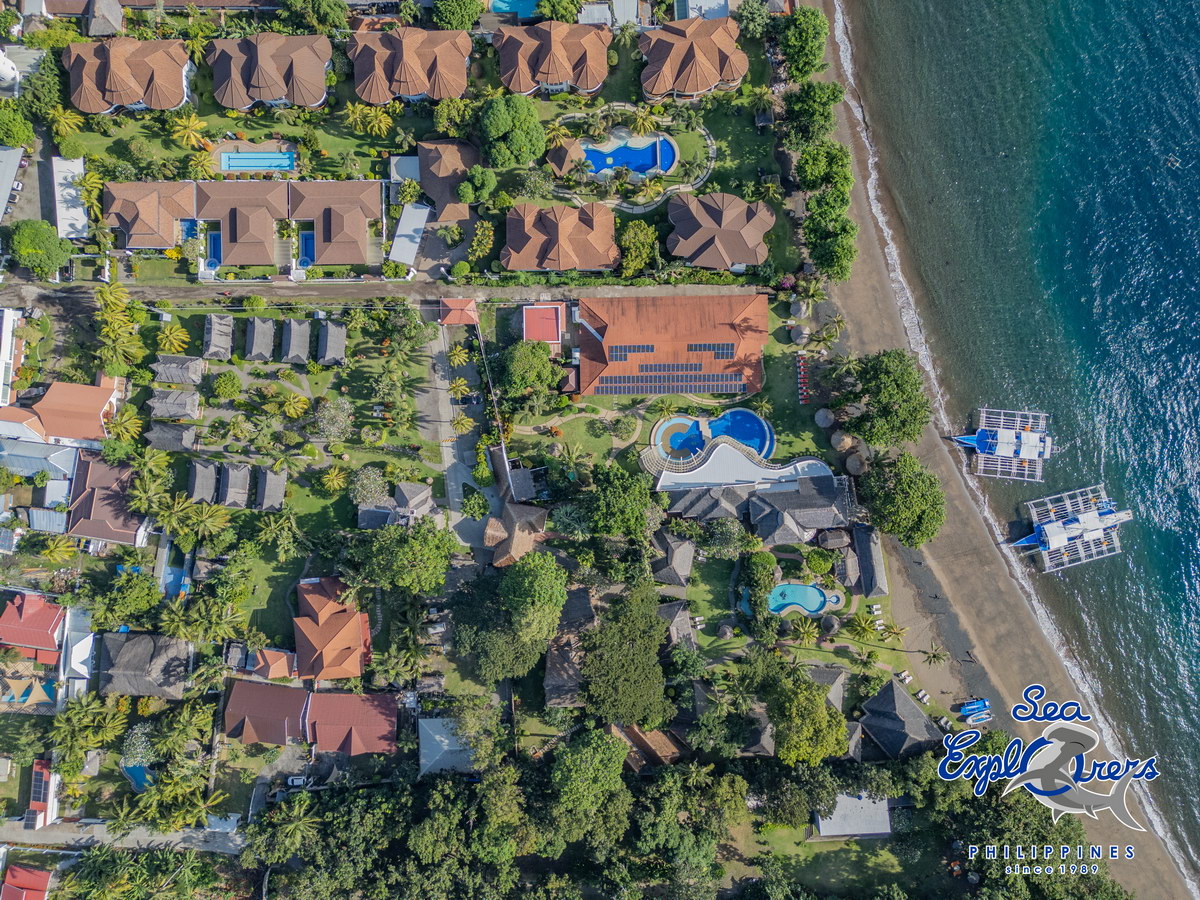 Sea Explorers Dauin Sea Explorers Dauin