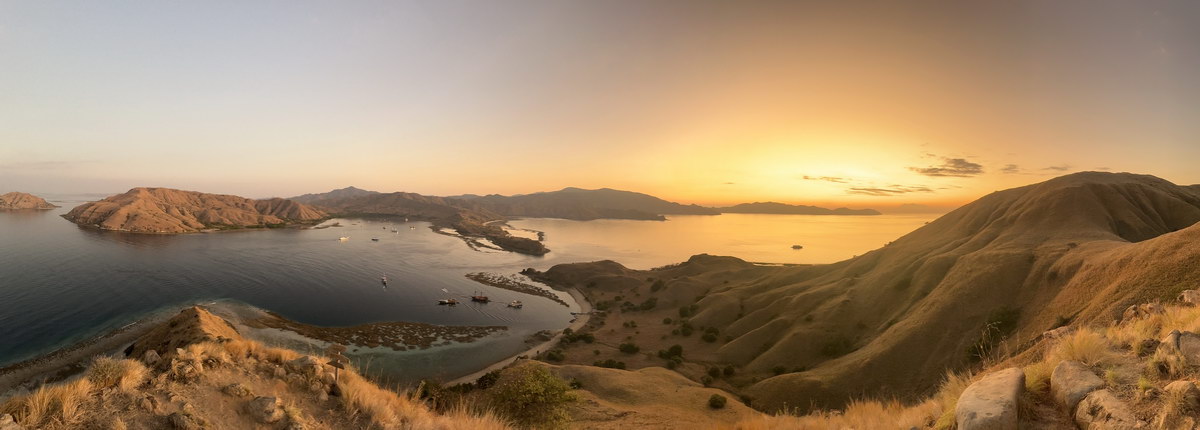 Komodo Komodo