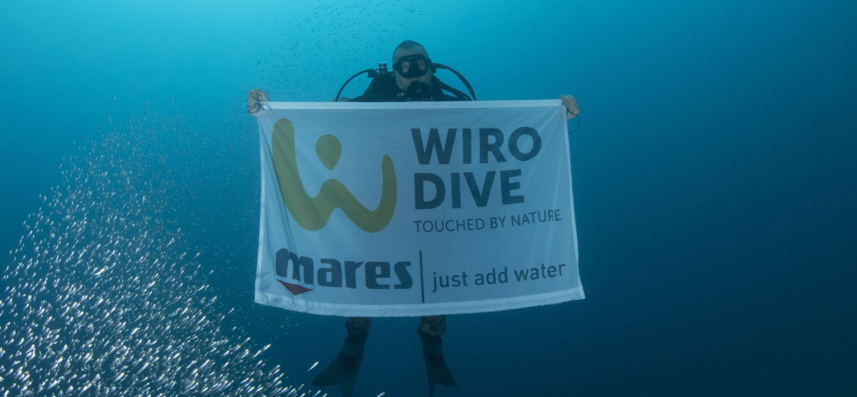 Wirodive Wirodive