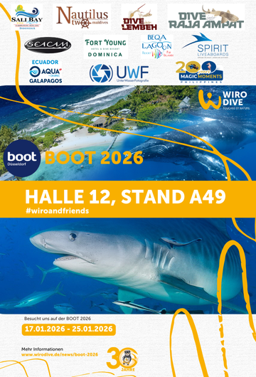 Boot 2026 in Düsseldorf