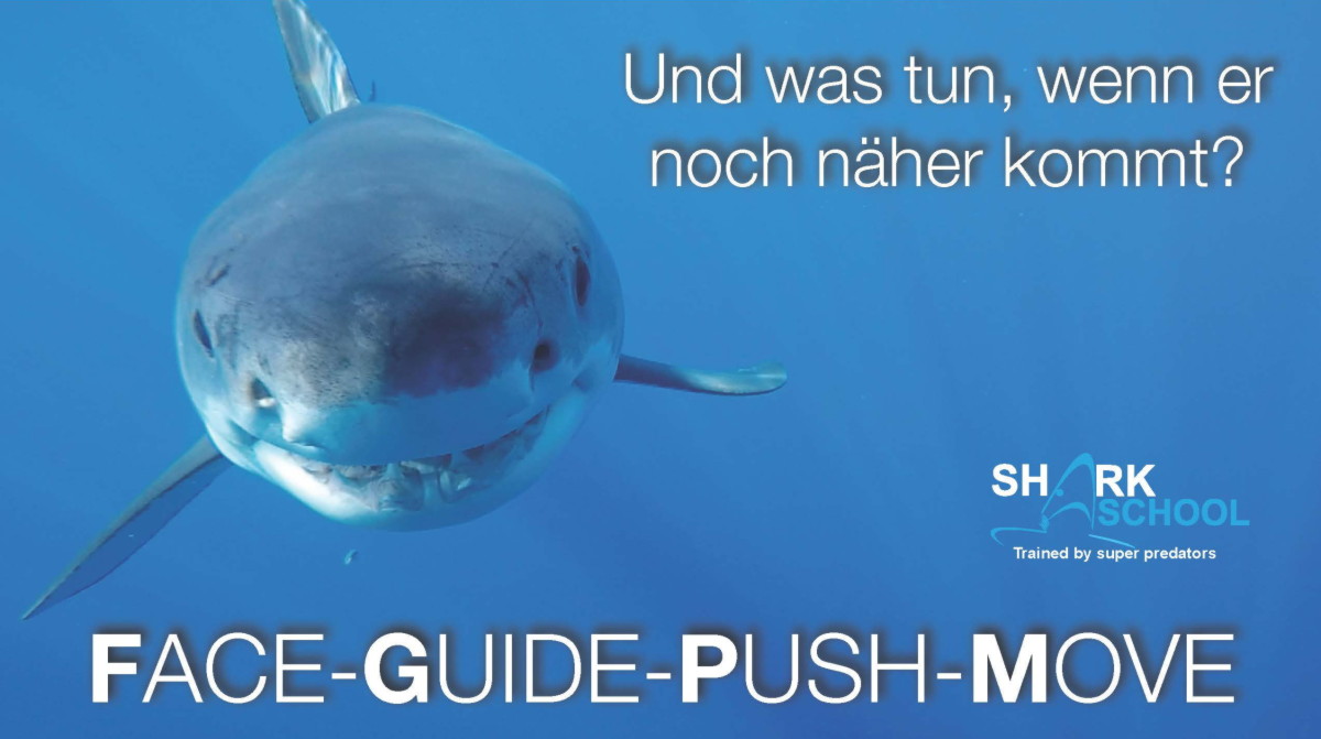 Face-Guide-Push-Move Face-Guide-Push-Move