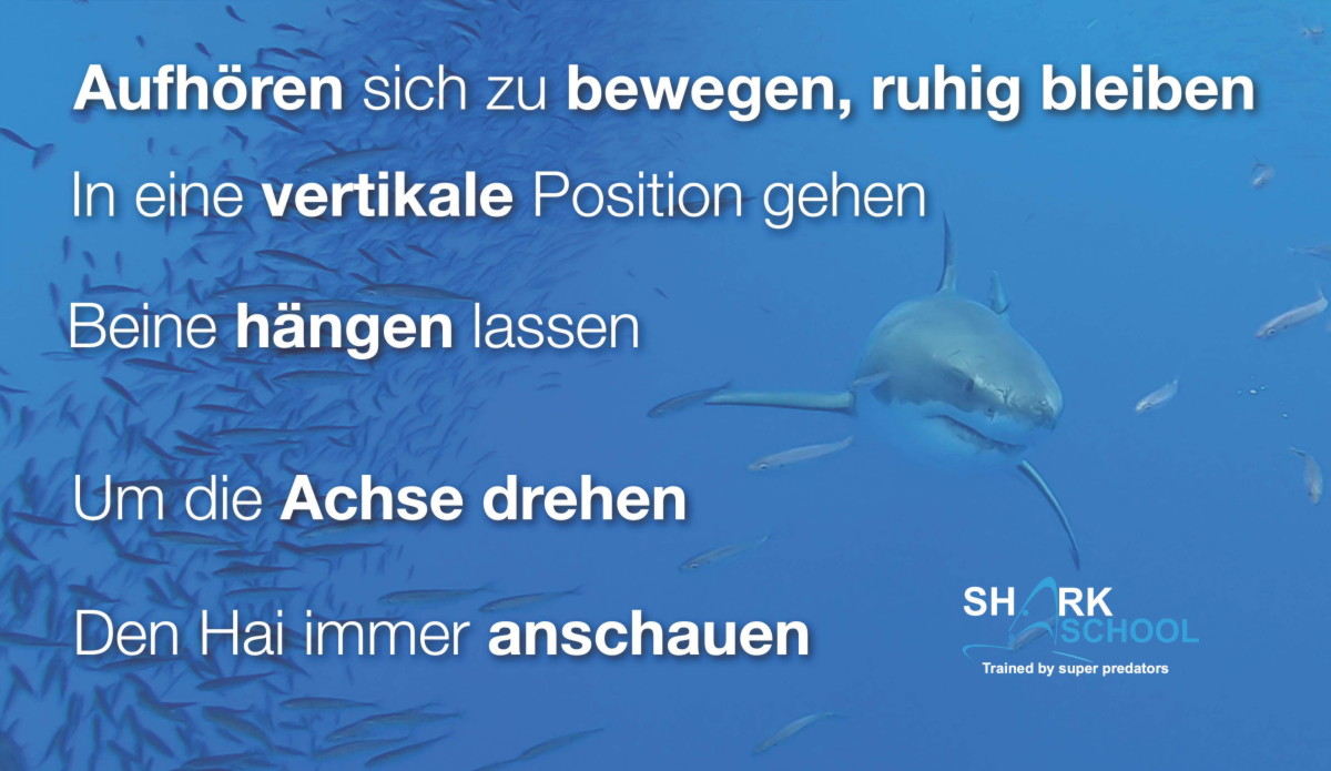 Wenn ein Hai auftaucht Wenn ein Hai auftaucht