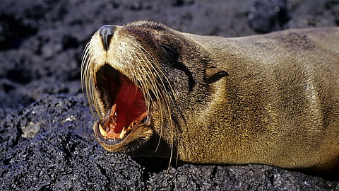 © Robert Wilpernig © Robert Wilpernig