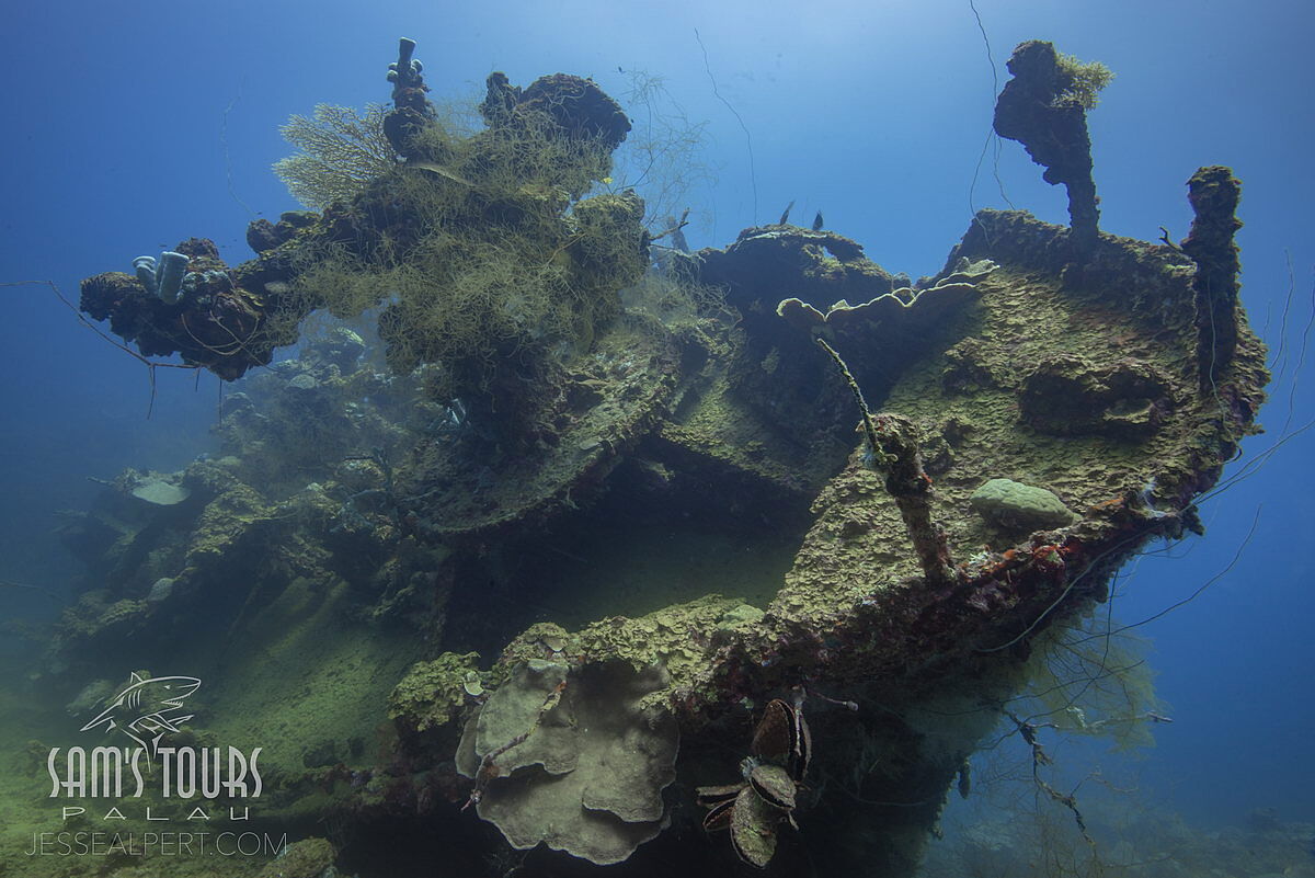 Teshio Maru, © Sam's Tours/Jesse Alpert Teshio Maru