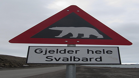 © Erwin Vermeulen © Erwin Vermeulen