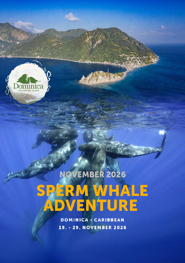 Ausschreibung für diese Reise (PDF)