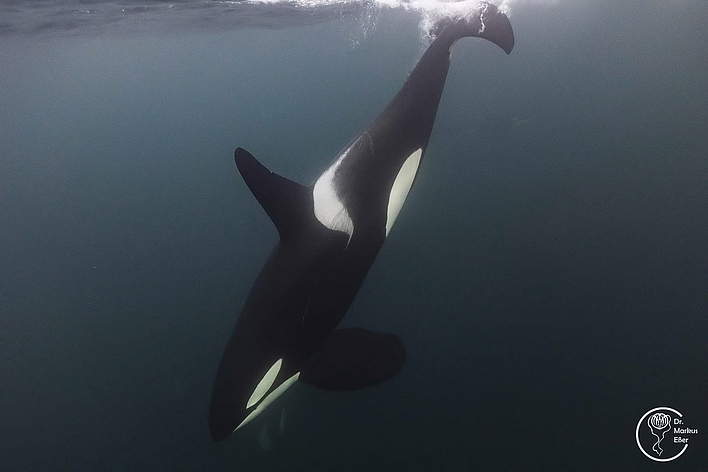 © Dr. Markus Eßer © Dr. Markus Eßer