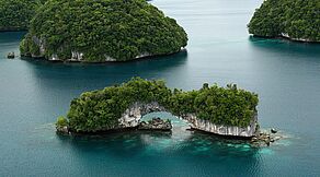 Palau Tauchsafari & Vorprogramm Sam’s Tours