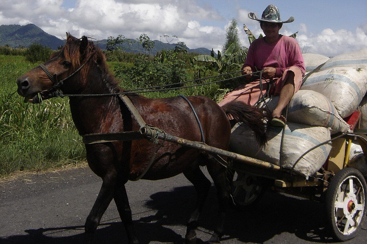 Pferdekutsche, Tomohon Pferdekutsche, Tomohon
