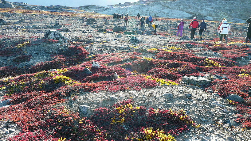 © Rob Tully © Rob Tully