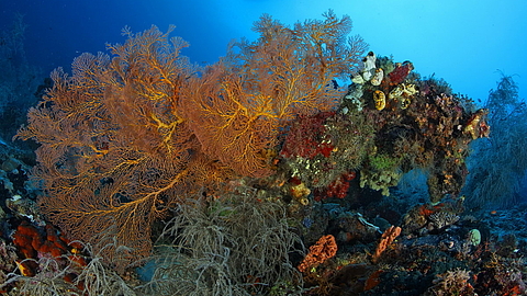 © Robert Wilpernig © Robert Wilpernig