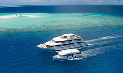 MV Carpe Vita Malediven