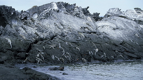 © Robert Wilpernig © Robert Wilpernig