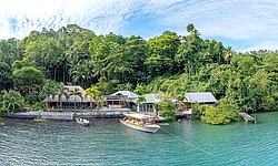 D'Lagoon Dive Resort Lembeh