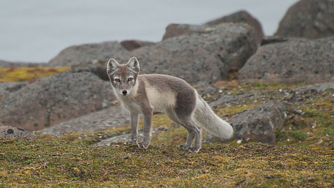 © Erwin Vermeulen © Erwin Vermeulen