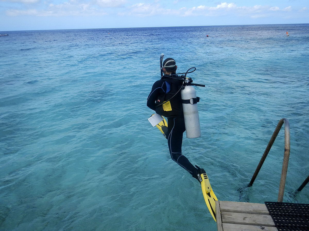 Tauchen mit Go West Diving Tauchen mit Go West Diving