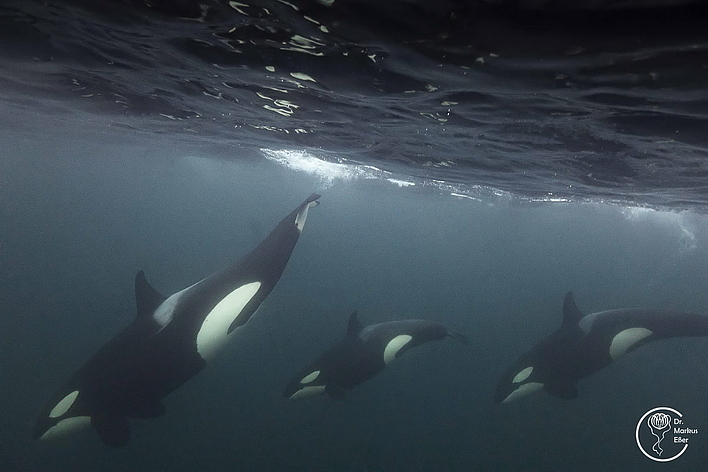 © Dr. Markus Eßer © Dr. Markus Eßer