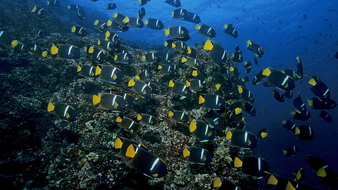 © Robert Wilpernig © Robert Wilpernig