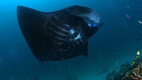 © Robert Wilpernig © Robert Wilpernig