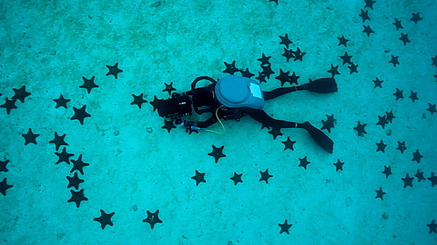 © Underseahunter Fleet