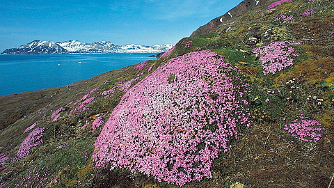 © Rinie van Meurs © Rinie van Meurs