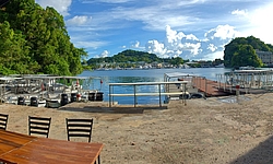 Fish'n Fins Palau Fish'n Fins Palau