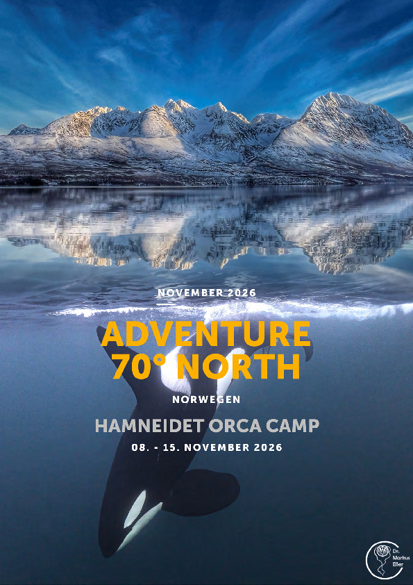 Ausschreibung für diese Reise (PDF)