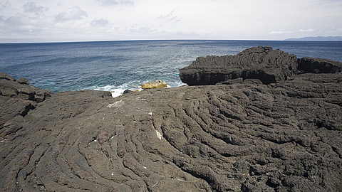 © Franco Banfi © Franco Banfi