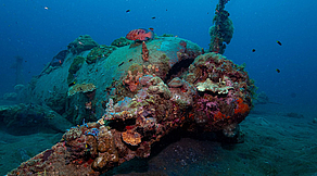 Emperor Divers Honiara