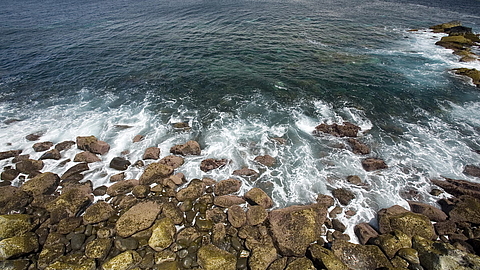 © Franco Banfi © Franco Banfi