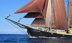 MV Adelaar, Indonesien