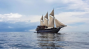 Misool & Triton Bay Tauchsafari