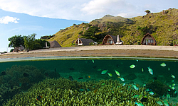 Komodo Resort & Diving Club